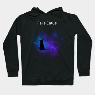 Felis Catus in Space Hoodie